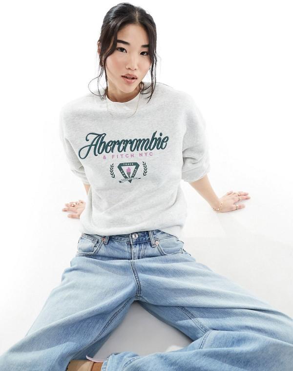 Abercrombie & Fitch heritage embroidery and print sweatshirt in grey