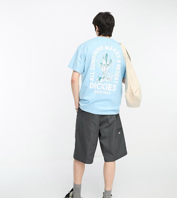 Dickies Badger Mountain cactus back print t-shirt in sky blue exclusive to ASOS