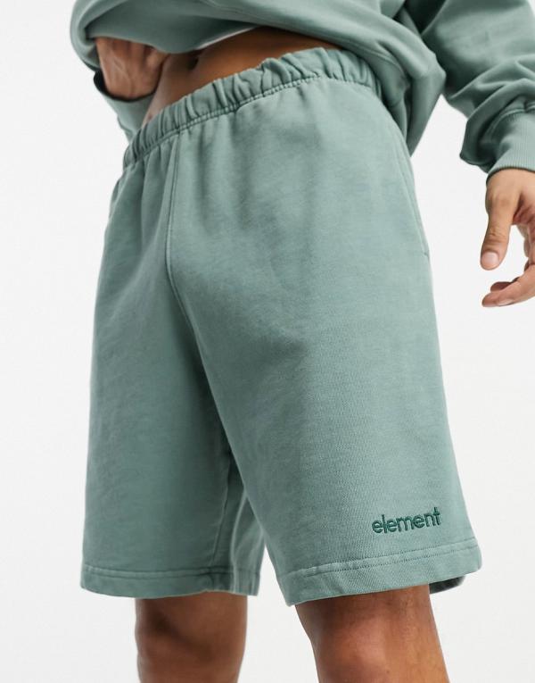 Element Cornell 3.0 premium jersey shorts in washed green (part of a set)