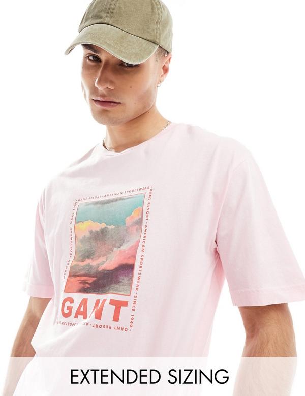 GANT washed front cloud logo print t-shirt relaxed fit in pink