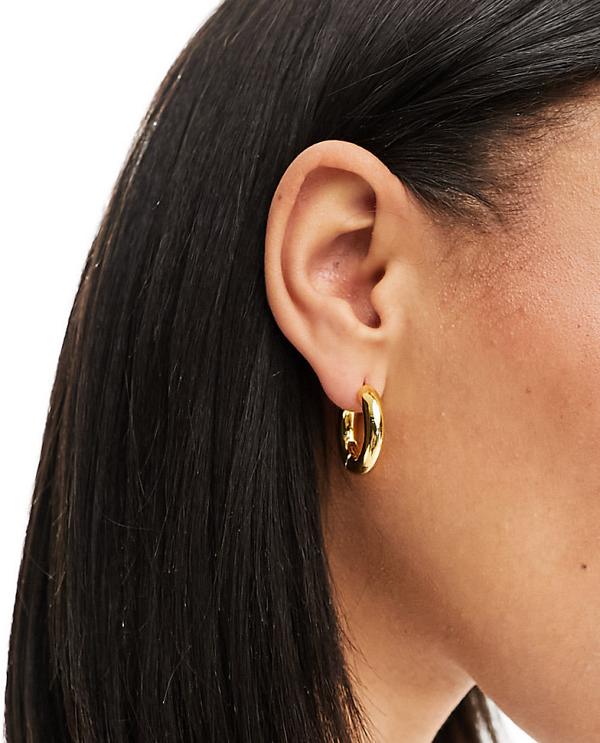 Orelia 18k gold plated chubby mid size hoop earrings
