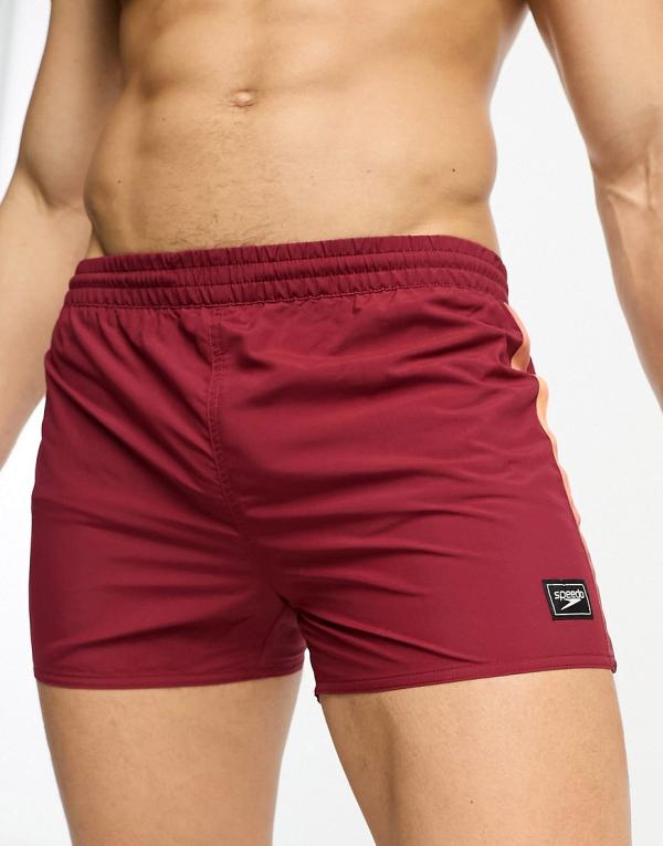 Speedo retro 13 swim shorts in burgundy-Red