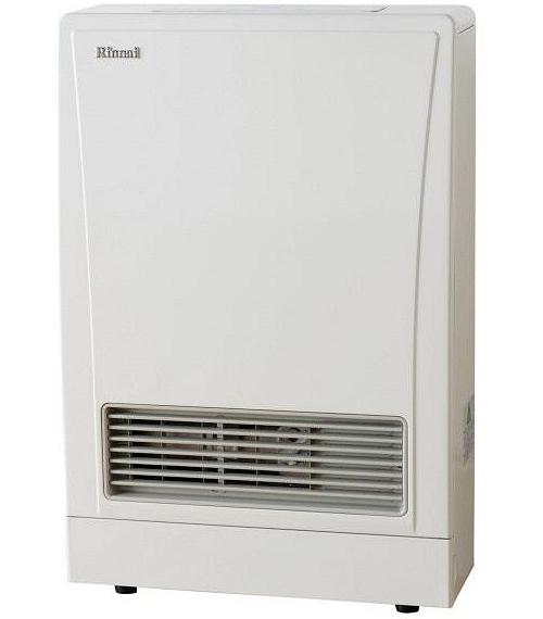 Rinnai Energy Saver 309FT Natural Gas Heater with Direct Flue Kit