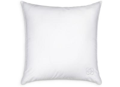 Gingerlily 50/50 Silk Blend Euro Pillow, 26 x 26