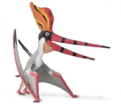 Collecta Extra Large Pteranodon Sternbergi With Movable Jaw