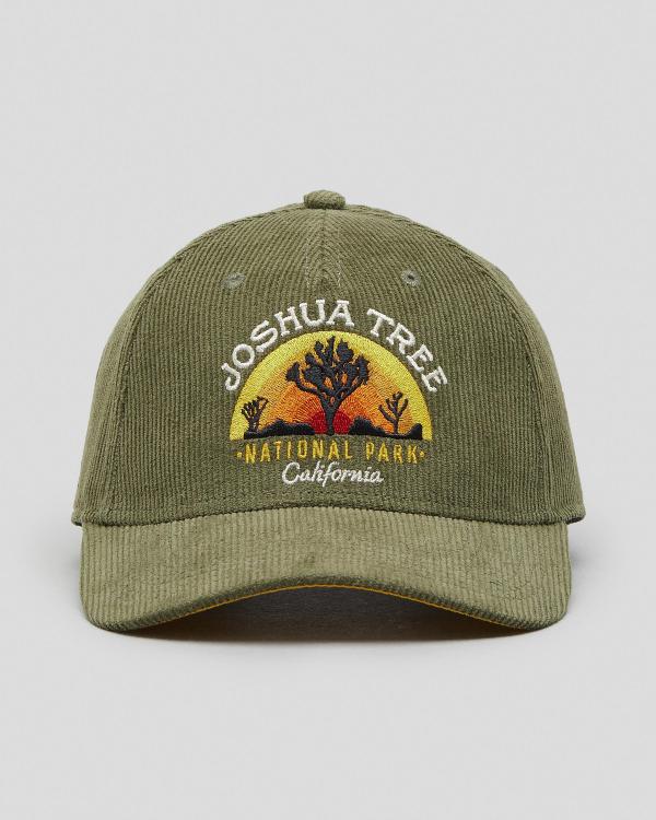 American Needle Women's Joshua Tree National Park Cord Cap in Green