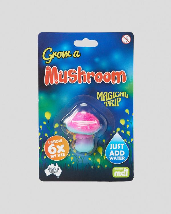 Get It Now Grow Mushroom Toy