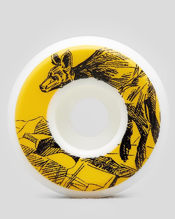 Picture Wheel Company Joel Mcilroy The Brush Tailed Rock Wallaby 53Mm Skateboard Wheels