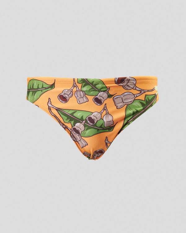 Speedo Men's Gum Nuts Swim Briefs in Orange