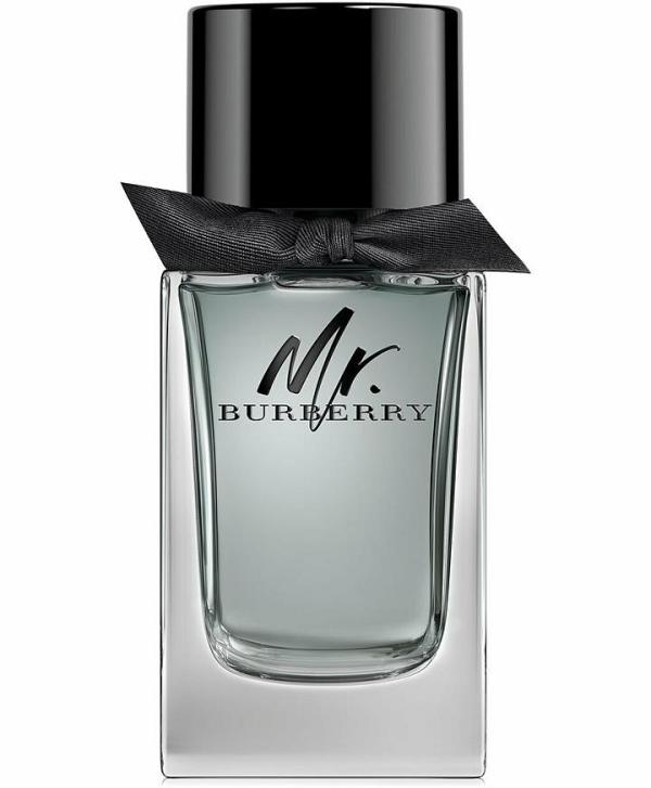 Burberry Mr Burberry EDT 100ml