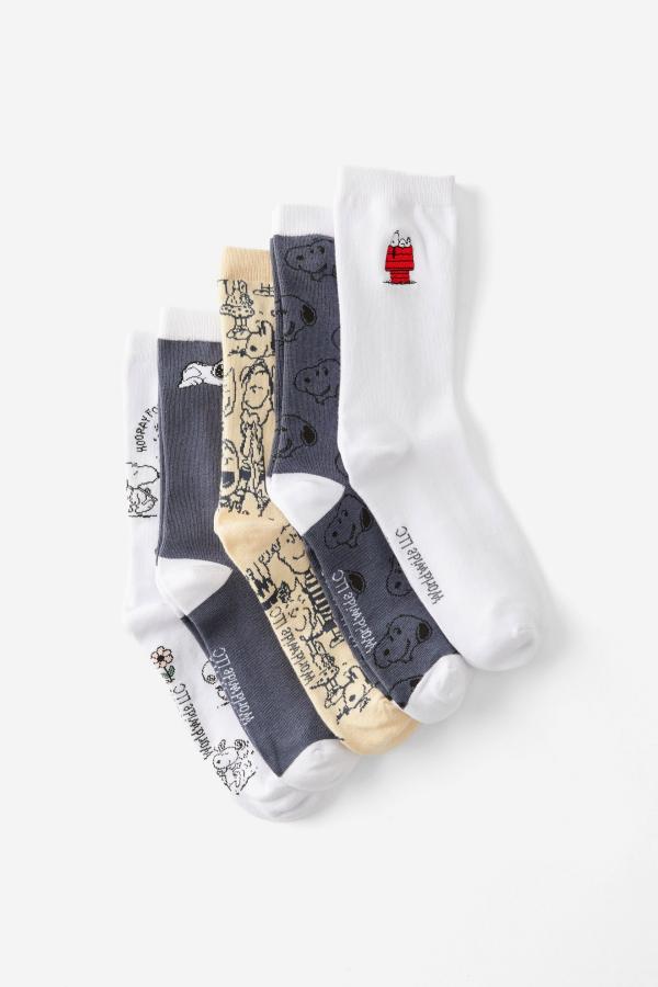 Typo - Peanuts Box Of Socks - Lcn pea snoopy (s/m)