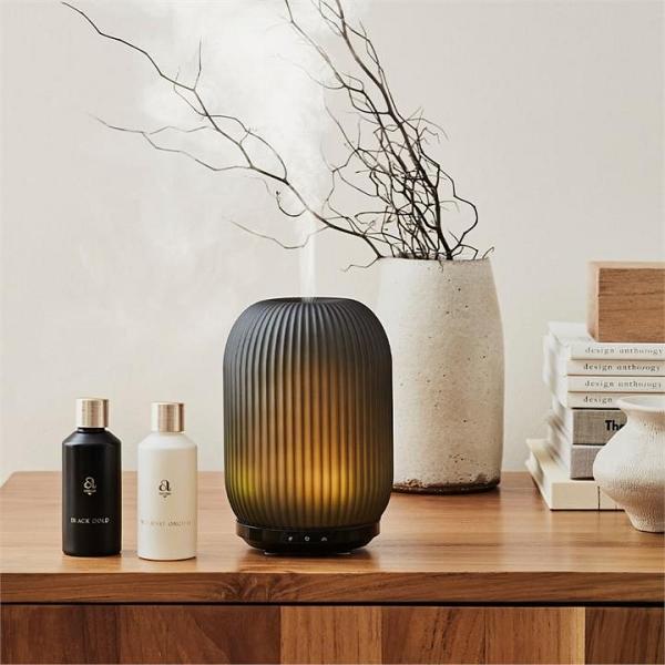 Wren Black MoodMist Diffuser