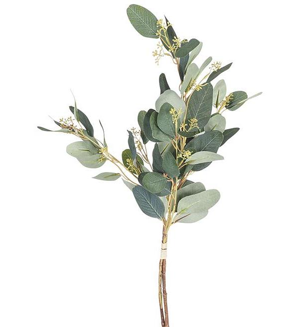 Acacia Paris Eucalyptus 70cm