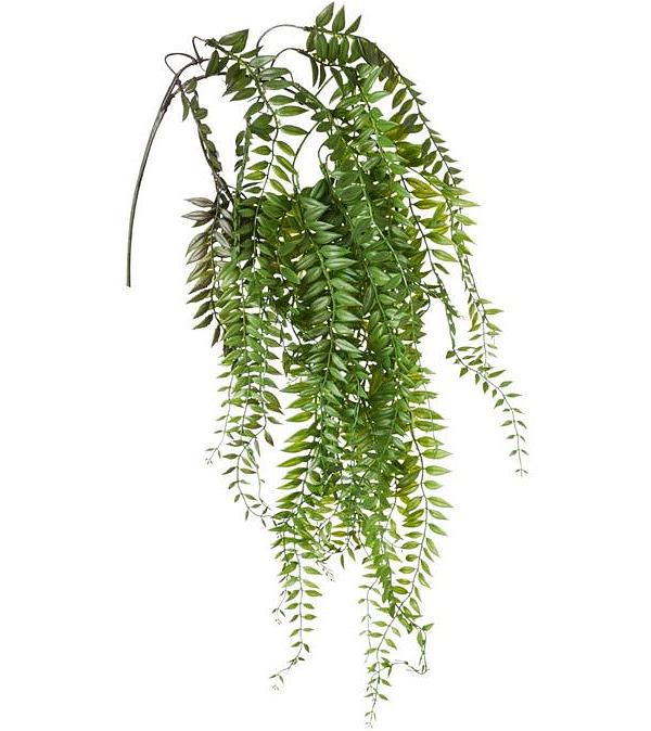 Acacia Vines 90cm