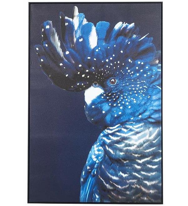 Blue Cockatoo Framed Print 120x80cm