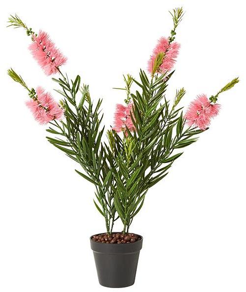 Eden Bottle Brush Pale Pink 70cm