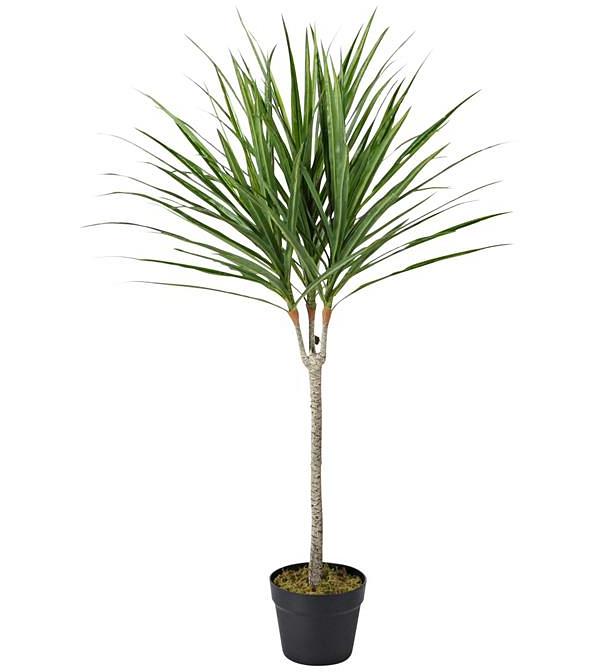 Eden Potted Faux Dragon Tree Green 95cm