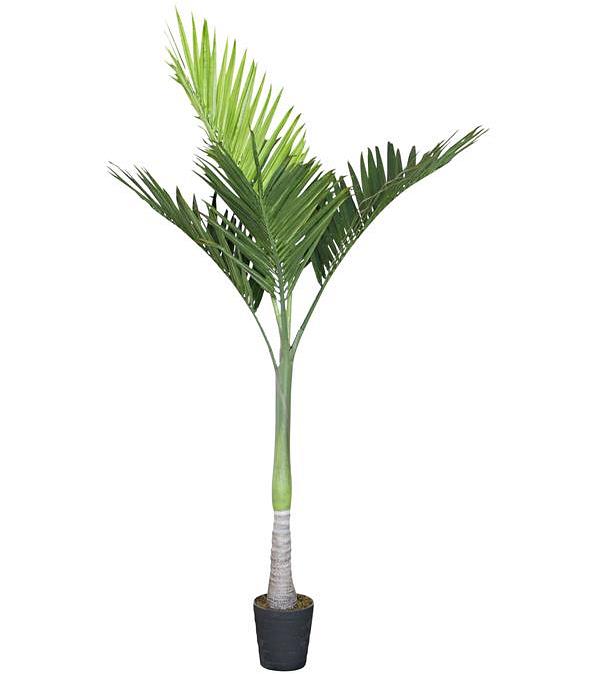 Eden Potted Faux Palm Tree 225cm