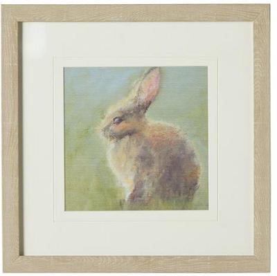 Rabbit I Framed Print 30x30cm