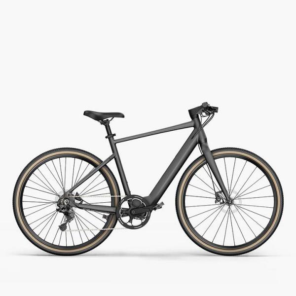 Fiido E-Gravel Step-Over Electric Bike, Grey