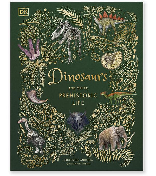 Dinosaurs and Other Prehistoric Life