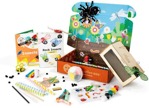 Insects Creative Box