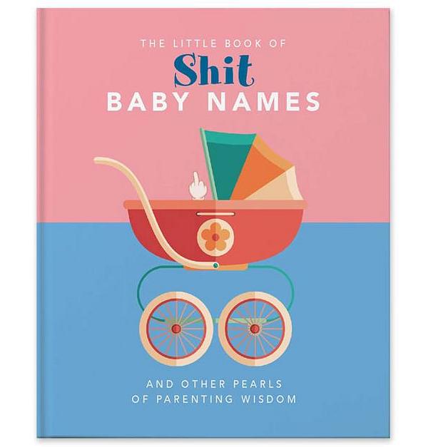 Little Book Of Shit Baby Names