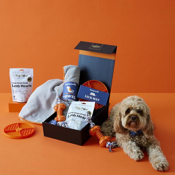 Pawsome Pet Hamper