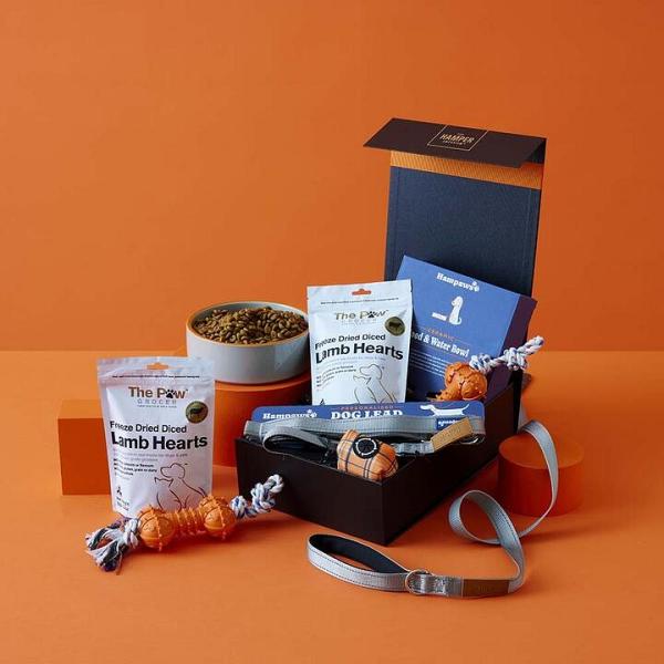 Perfect Paws Hamper with Personalised Dog Lead