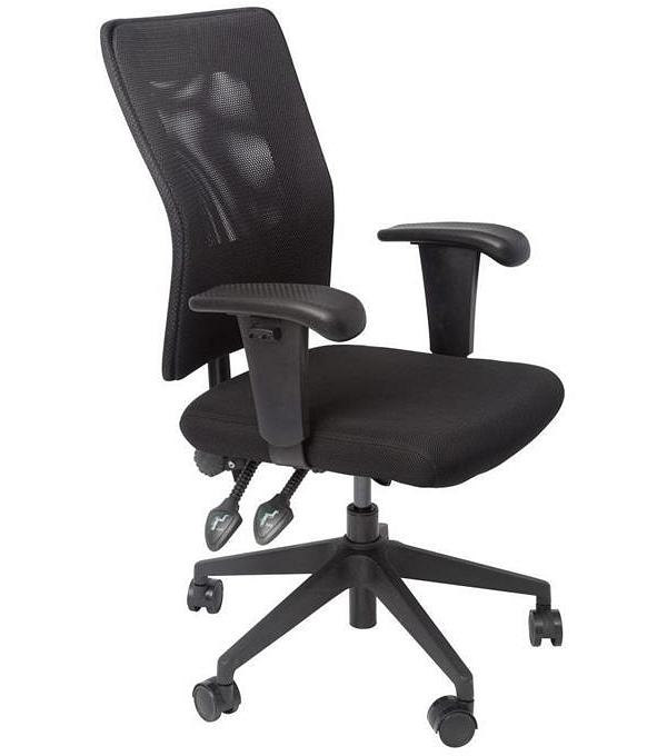 Step Ergonomic Mesh Office Chair - Black by Interior Secrets - AfterPay Available