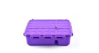 Go Green Medium Lunch Box Purple