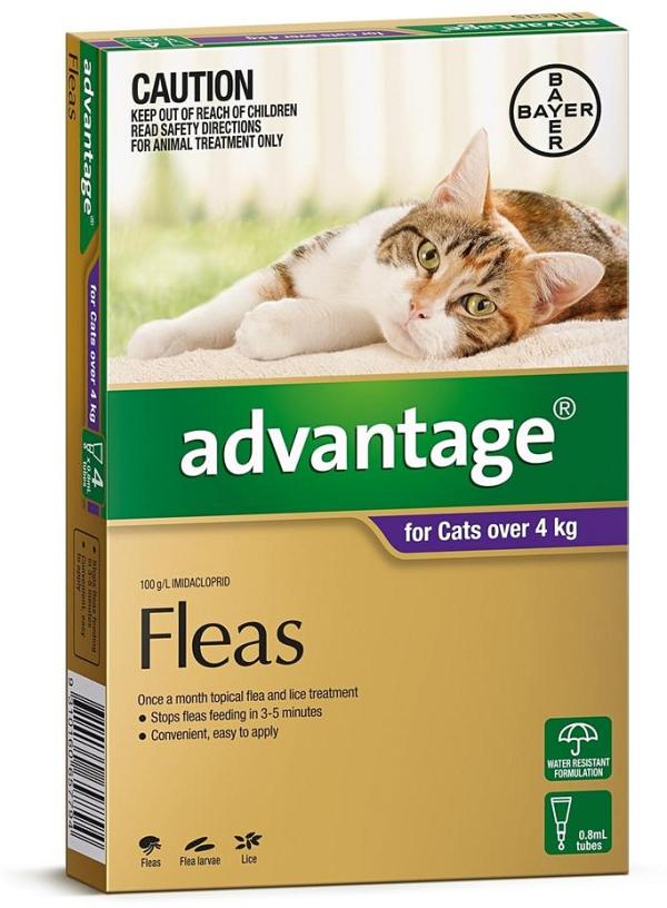 Advantage Spot-On Flea Control Treatment for Cats over 4kg - 4-Pack