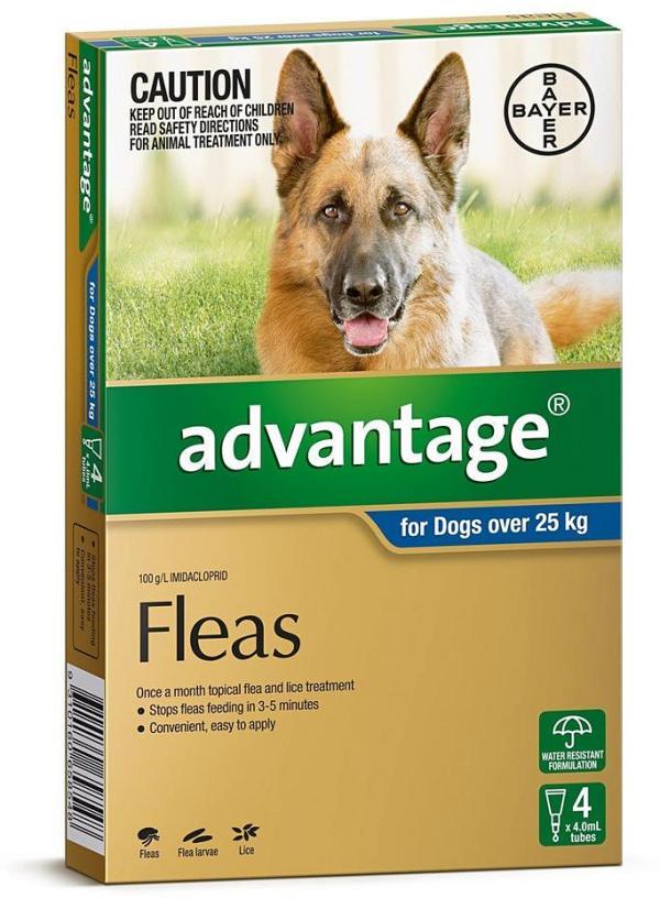 Advantage Spot-On Flea Control Treatment for Dogs Over 25kg - 4 Pack