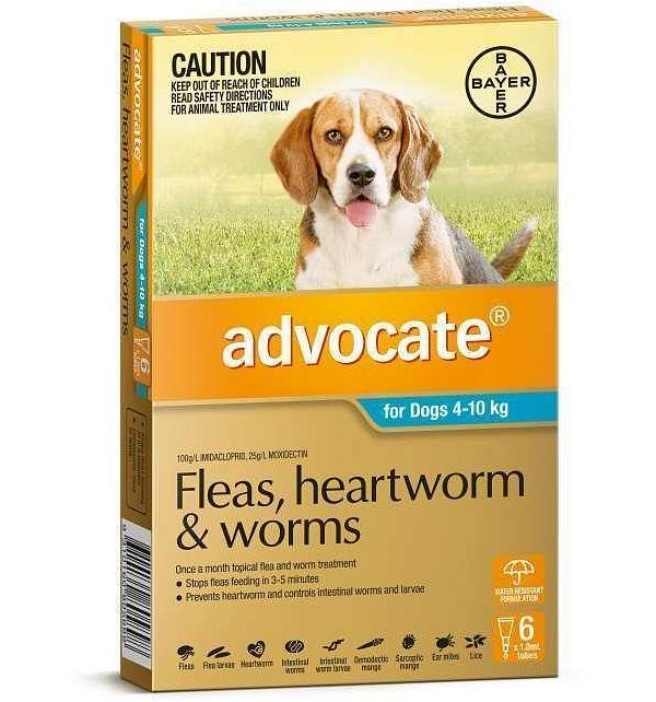 Advocate for Dogs - 6 Pack - Treats Fleas & Worms for Dogs 4-10kg - 6pk