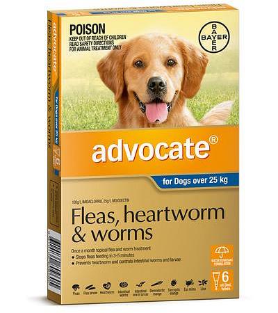 Advocate for Dogs - 6 Pack - Treats Fleas & Worms for Dogs over 25kg - 6pk