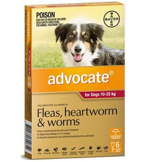 Advocate Spot-On Flea & Worm Control for Dogs 10-25kg - 6-pack