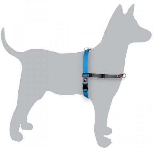 Black Dog Balance Dog Halter with Front & Back attach D-Rings - Small - Blue