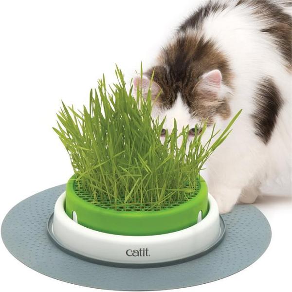 Catit 2.0 Cat Grass Planter Kit with Starter Grass Pack