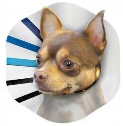 KONG EZ Clear Elizabethan Medical Collar for Cats & Dogs -