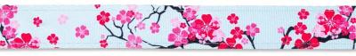 Max & Molly Bandana for Cats & Dogs - Cherry Bloom -