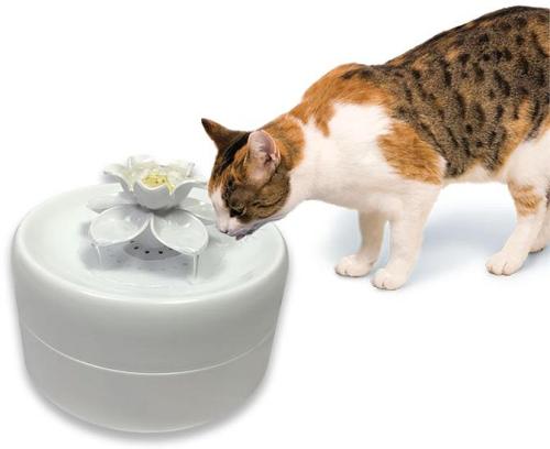 Pioneer Pet Magnolia Petal Fresh Water Pet Drinking Fountain 1.6 Litres