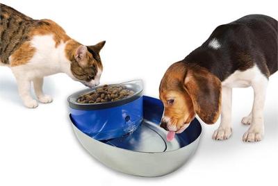 Pioneer Pet Water Food Bowl & Cat and Dog Drinking Fountain 1.18 Litres