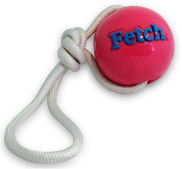 Planet Dog Orbee Tuff Fetch Ball Tough Dog Toy with Rope - Pink