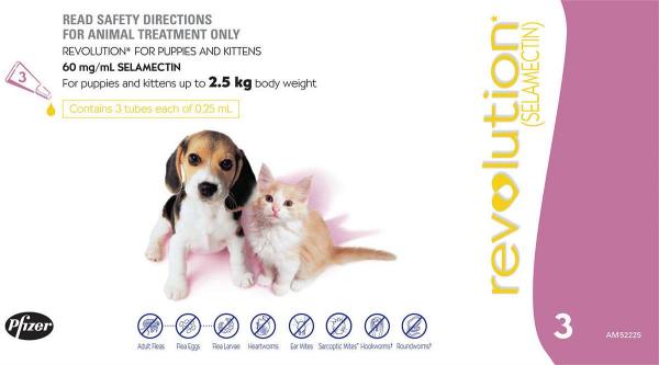 Revolution Flea & Worm Control for Kittens - 3 pack