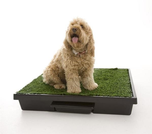 The Original Pet Loo for Indoor or Outdoor Use -