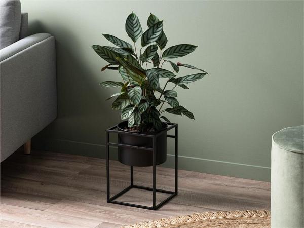 Brent Metal Plant Stand Black - Short