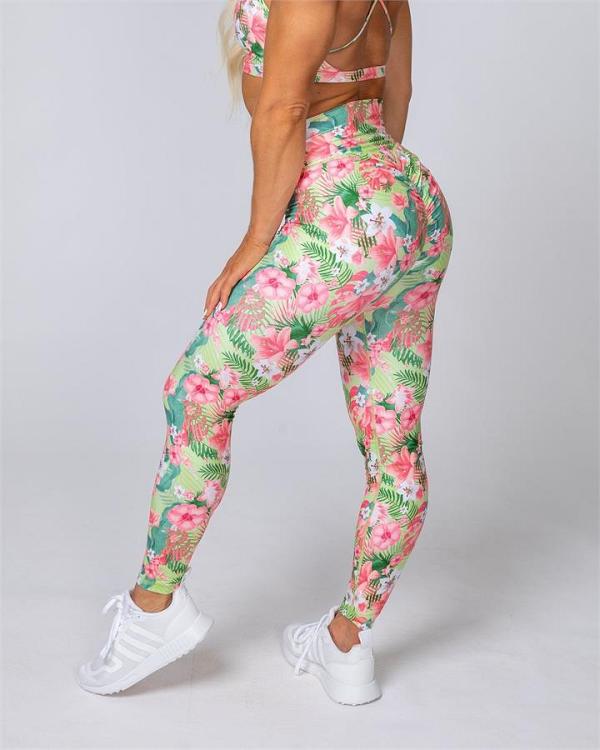 HBxMN Sweetheart Ankle Length Leggings