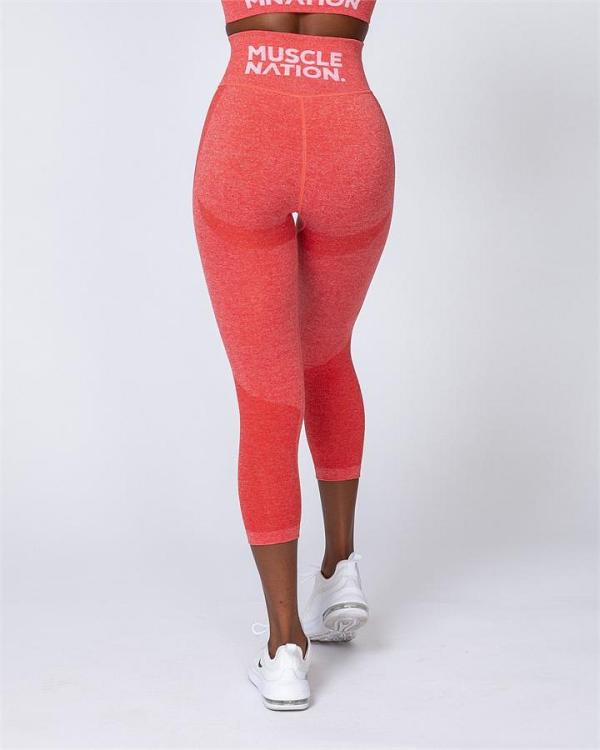 Shape Up Seamless 7/8 Leggings