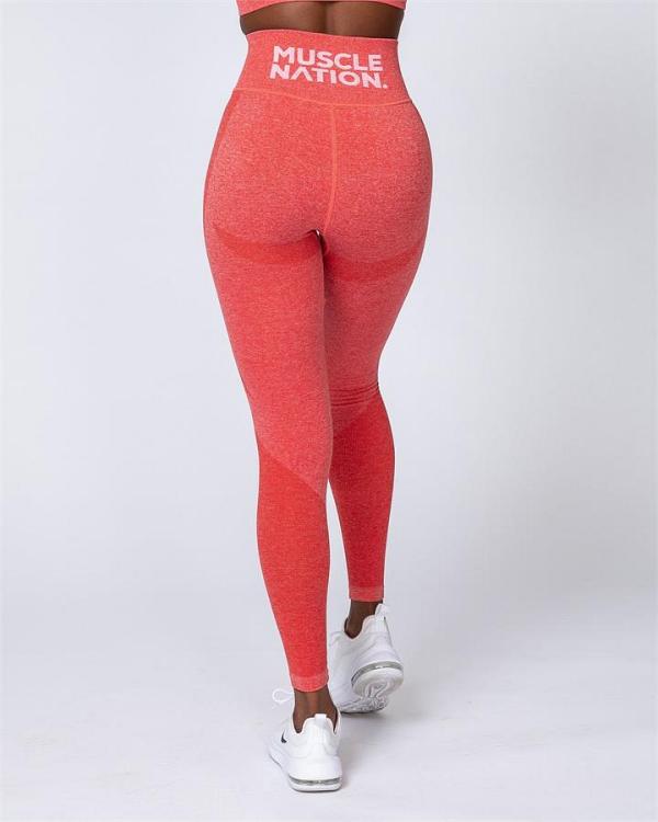 Shape Up Seamless Full Length Leggings