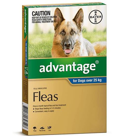 Advantage Dog Extra Large Blue 12 Pack